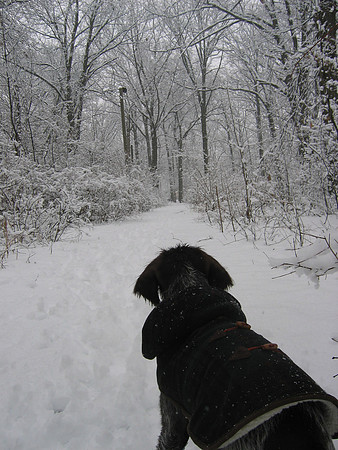 snow path